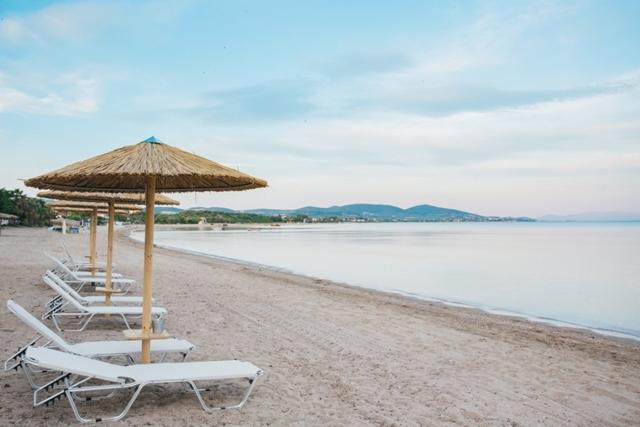 Apartament Olea Mare Kalyves Polygyrou Zewnętrze zdjęcie
