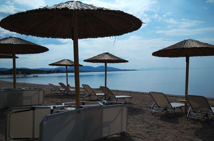 Apartament Olea Mare Kalyves Polygyrou Zewnętrze zdjęcie